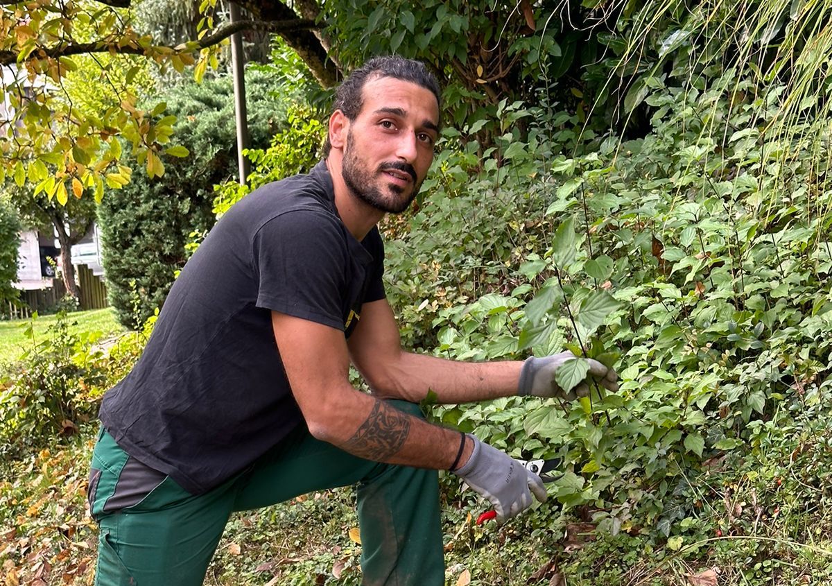 Alessandro Giandomenico bei der Gartenarbeit zwischen Sträuchern